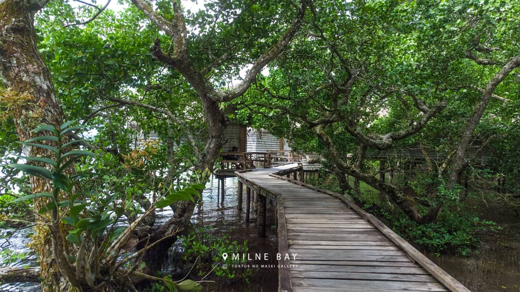 Timber walkway connecting overwater structures through dense greenery.